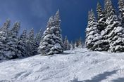 Ski Castle