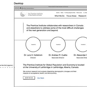 Wireframe with hero copy, CTA buttons, focus areas grid, and news/resources sections in priority order.