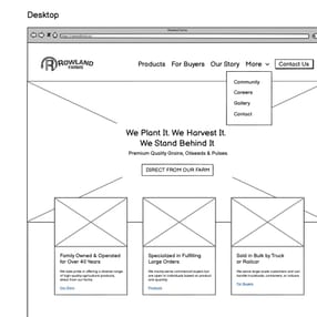 Wireframe mockup of Rowland Farms’ homepage, featuring a simple layout with prominent sections for products, family story, and calls to action.
